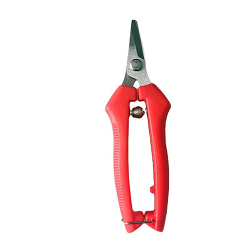 Ciseaux de cueillette de fruits à haute dureté