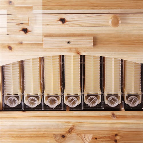 صندوق النحل الخشبي