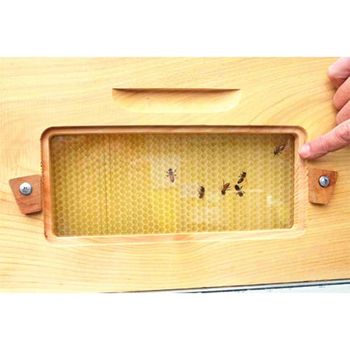 صندوق النحل الخشبي