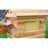 صندوق النحل الخشبي