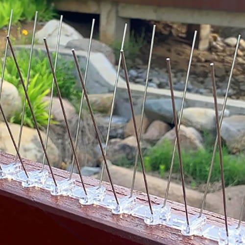 طارد الحمام